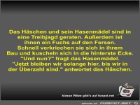 Das Häschen und sein Hasenmädel sind in eine Treibjagd...