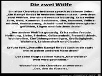 Zwei Wlfe