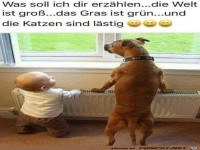 Was soll ich dir erzählen?