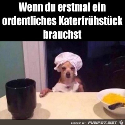 Katerfrühstück-nötig.jpg von Rebecca