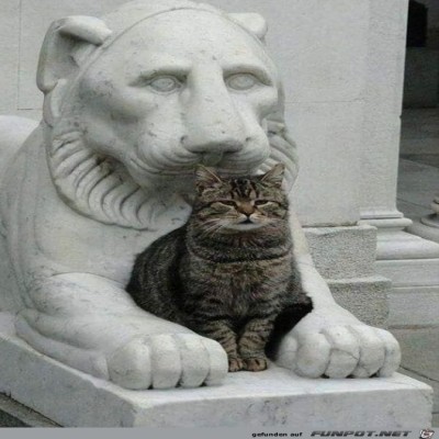 Cooler-Platz.jpg von Lou
