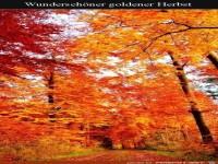 Goldener Herbst