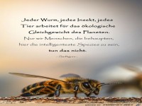 Jeder Wurm jedes Insekt