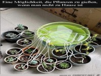 Pflanzen gie�en