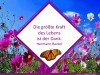 weiter
