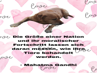 die gre einer nation