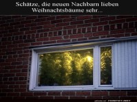 Weihnachtliches Gr�n das ganze Jahr!