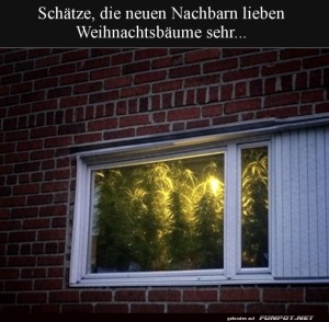 Weihnachtliches-Gr�n-das-ganze-Jahr!.jpg auf www.funpot.net