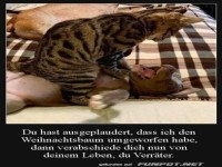 Hund ist ein Verr�ter
