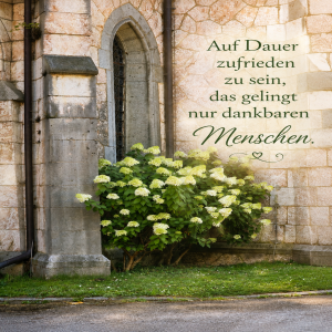 auf-dauer-zufrieden-zu-sein.png von Fabioma