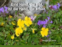 Eine Hand die gibt