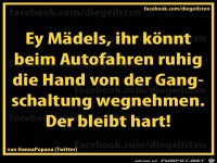 diegeilsten Gangschaltung