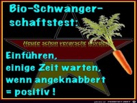 Schwangerschaftstest