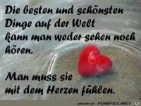 Die besten und schoensten Dinge