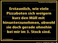 diegeilsten Pizzaboten