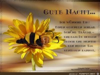 Gute Nacht - Ich w�nsche Dir
