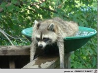 lifebuzz-85bbc5ec4ab980767703fd8f5ce59f19-limit 2000