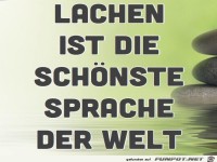 Lachen