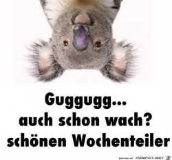 Huhu.jpg auf www.funpot.net