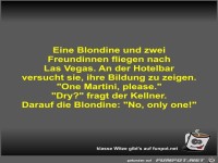 Eine Blondine und zwei Freundinnen fliegen nach Las Vegas