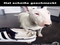 Hat nicht geschmeckt