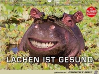 Lachen ist gesund