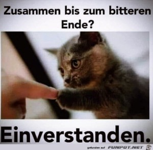 Zusammen-bis-zum-bitteren-Ende.jpg auf www.funpot.net