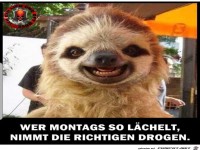 wer Montags so lchelt, nimmt die richtigen Drogen