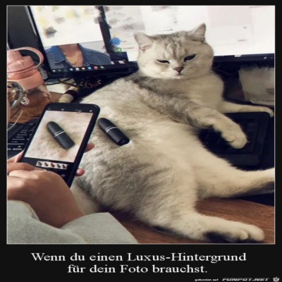 Luxus-Hintergrund-fürs-Foto.jpg von Lina