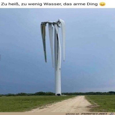 Zu-hei&szlig;.jpg von Ida