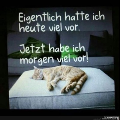 viel-vor.jpg von Noah75