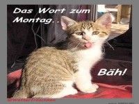 Der Montag