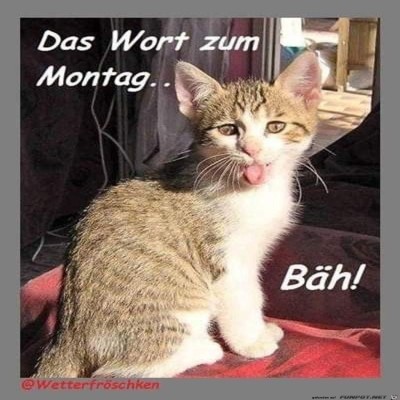 Der-Montag.jpg von Mara