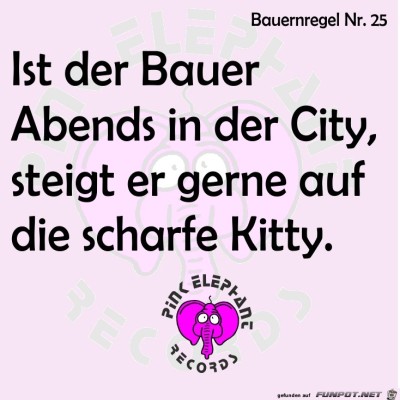 0215---Bauernregel-25.jpg von Digge
