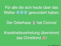 Osterhase