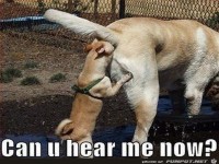 Man fragt ja nur mal