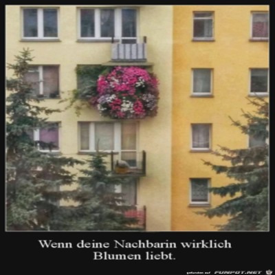 Da-mag-jemand-Blumen.jpg von Malou