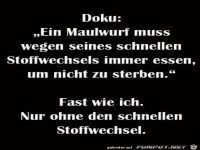 Wie ein Maulwurf