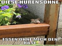 Das geht ja gar nicht