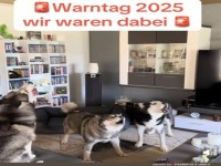 Hundekonzert zum Warntag