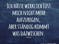 Der Aufregungsberater