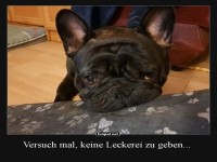 Leckerchen-Psychologie auf h�chstem Niveau