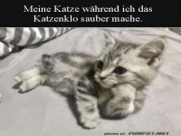 Meine Katze, wenn ich ihr Klo sauber mache