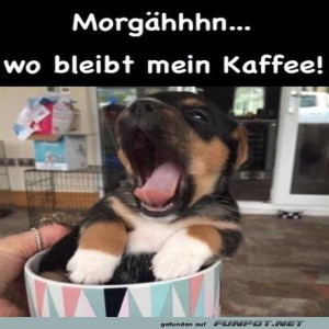 Begrüßungsbild