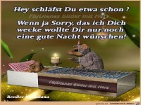 Hey schlaefst du schon