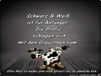 Schwarz Weiss