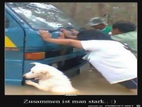 Hier helfen alle mit