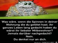 was w�re, wenn........