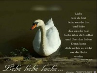 Lebe liebe lache