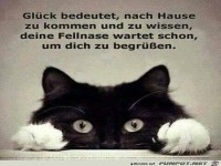 was Gl�ck bedeutet